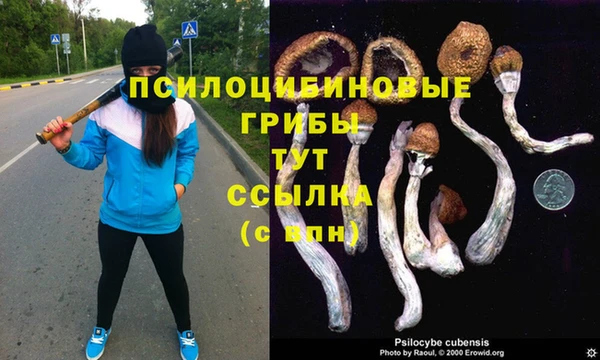 хмурый Верхнеуральск